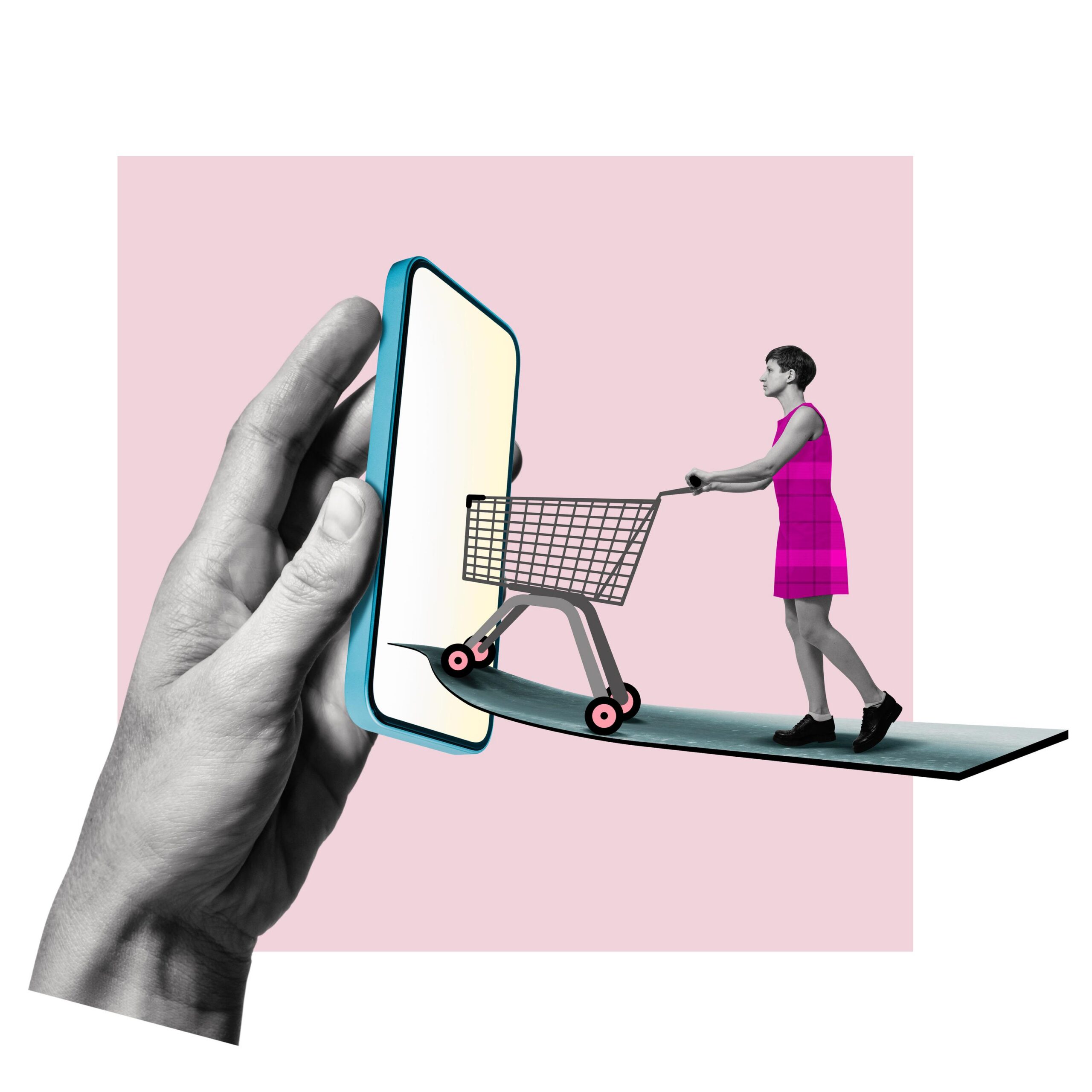 Online shopping concept for Whatnot live show deals